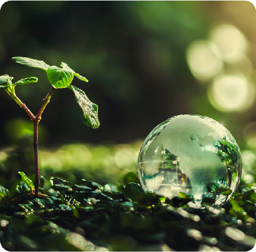 Health, Safety and Environmental Science